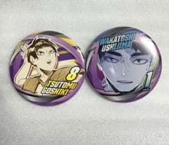 ハイキュー‼︎ 五色工、牛島若利 コレクション缶バッジセット - メルカリ