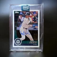 m59511802617_1.jpg?1736423647