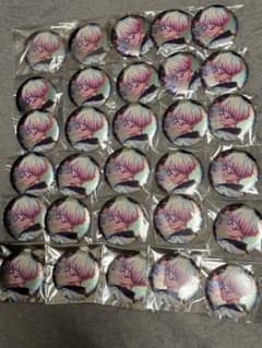 パラライ 燕夏準 缶バッジ 幻影 30個セット - メルカリ