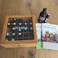 m51033439769_1.jpg?1732506683