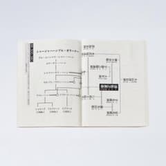 Syntactic Forest 岡崎真理子 RONDADE - メルカリ