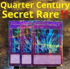 遊戯王【英語版】激流葬 25th クオシク 3枚セット‼️ - メルカリ