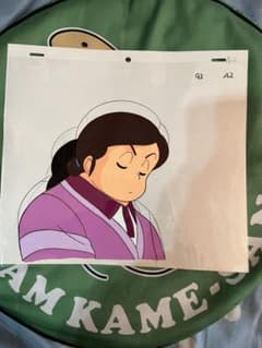 m65164702787_1.jpg?1707554656