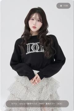 Darich ダーリッチ スウェット DDロゴビジュースウェットプルオーバー