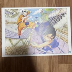 m66226243740_1.jpg?1750681094