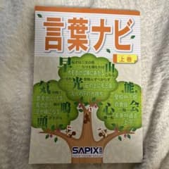 2026年2月購入未使用】SAPIX 言葉ナビ 上巻 - メルカリ