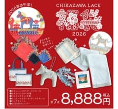 近沢レース福袋2026 抜き取りなし - メルカリ
