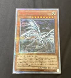 ブルーアイズオルタナティブホワイトドラゴン 遊戯王 青眼の亜白龍 2