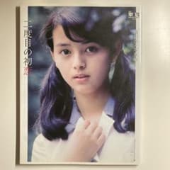 月刊平凡GOLDEN BEST!! Vol.2 岡田奈々写真集 二度目の初恋 - メルカリ