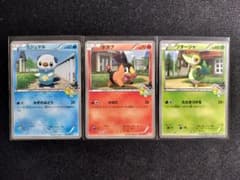 ポケモンフェア アピタ ミジュマル ポカブ ツタージャ プロモ - メルカリ