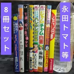 永田トマト 矢島みのる 雨宮じゅん 麻野明 夏体験STORY等8冊セット