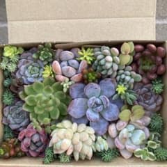 m63815643600_1.jpg?1728634435