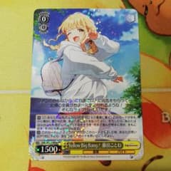 m79336643565_1.jpg?1748014648