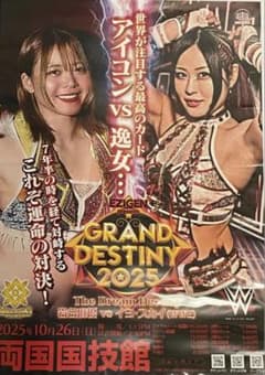 岩谷麻優 イヨ・スカイ マリーゴールド WWE ロイヤルシート特典