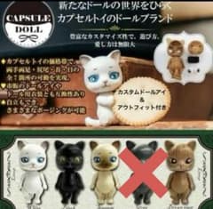 m79709577584_1.jpg?1717629027