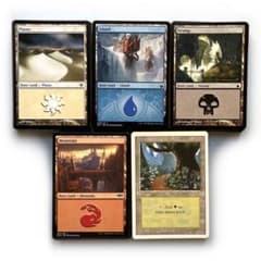 m72137748321_1.jpg?1692860095