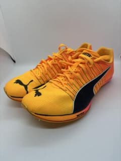 m84064809710_1.jpg?1755868731