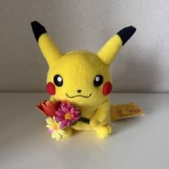 ポケモン ポケットモンスターマンスリーピカチュウ2003年3月② - メルカリ