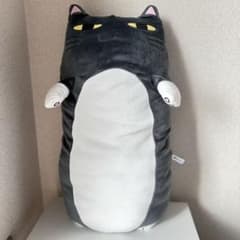 m84654410006_1.jpg?1706544355