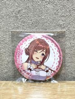 ☆匿名配送】姫崎莉波 缶バッジ ローソン コラボ 学園アイドルマスター