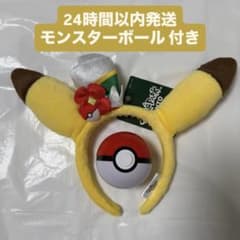 ポケパークカントー ピカチュウ カチューシャ モンスターボール