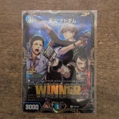 m81012772310_1.jpg?1747137102