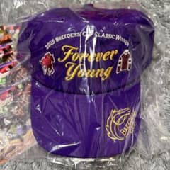 非売品】フォーエバーヤングキャップ Welcomeチャンス ポストカード4枚