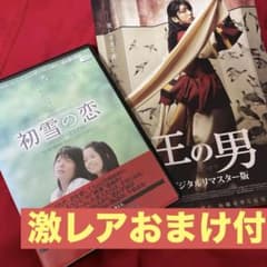 初雪の恋 DVD 激レア おまけ付 廃盤 韓国映画 イ・ジュンギ