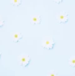 プロセカ 東雲絵名 缶バッジ 48c 化けの花 - メルカリ