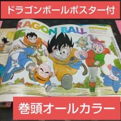 m98090651555_1.jpg?1709470890