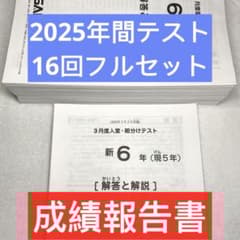 サピックス 6年 フルセット 3月 入室組分け テスト 2025年間テスト 5年