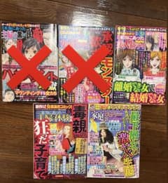 レディコミ レディースコミック 5冊セット - メルカリ