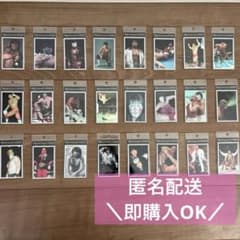 新品未開封】武藤敬司ステッカーbyBEAMSビームス コンプリート24枚