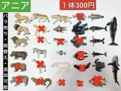 J. アニア 動物 バラ売り可能 組合せ自由 恐竜 水族館 フィギュア