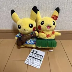 2026年最新】ポケモンセンター マンスリーペアピカチュウの人気