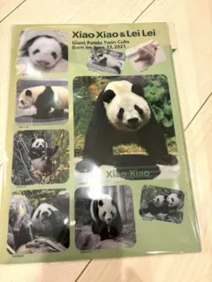 2026年最新】シャオシャオ レイレイ クリアファイルの人気アイテム