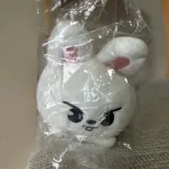 2026年最新】ミニバッグチャーム skzooの人気アイテム - メルカリ