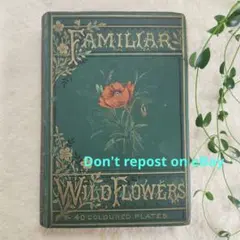 2026年最新】familiar wild flowersの人気アイテム - メルカリ