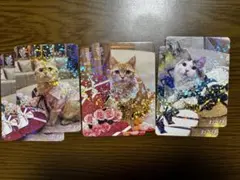 2026年最新】猫カフェmocha トレカの人気アイテム - メルカリ