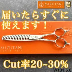 2026年最新】ミズタニシザー セニングの人気アイテム - メルカリ