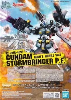 2026年最新】ストームブリンガーの人気アイテム - メルカリ