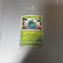 2026年最新】フシギダネ プロモ 未開封の人気アイテム - メルカリ