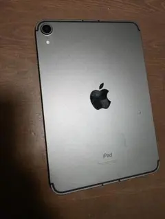2026年最新】iPad MINI 6 cellular 256 simフリーの人気アイテム