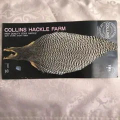 2026年最新】ハック グリズリーの人気アイテム - メルカリ