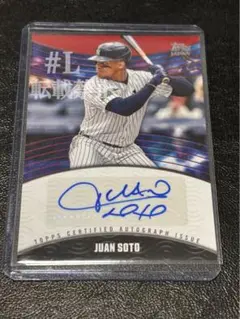 2026年最新】Juan soto サインの人気アイテム - メルカリ