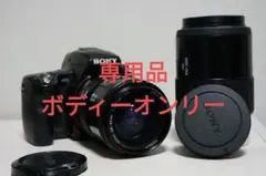 2026年最新】sony α55 レンズの人気アイテム - メルカリ