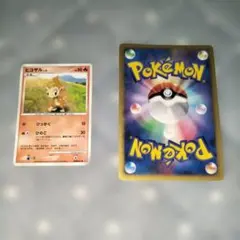 2026年最新】ヒコザルの人気アイテム - メルカリ