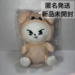 2026年最新】skz 抱きぬいぐるみの人気アイテム - メルカリ