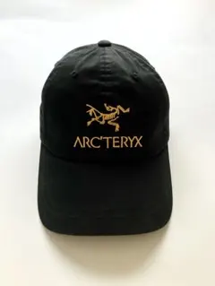 2026年最新】palace arc'teryxの人気アイテム - メルカリ