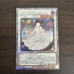 2026年最新】ガーデン•ローズ•メイデンの人気アイテム - メルカリ